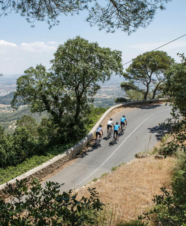 Guided Bike Tours in Mallorca